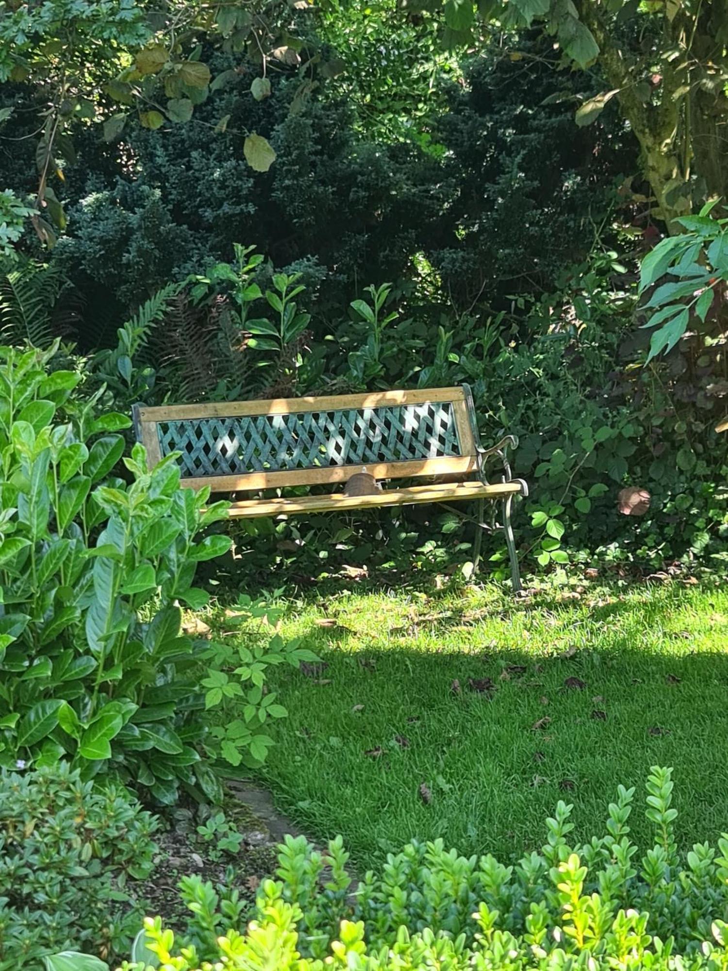 Haus Rosengarten Mit Sauna Bad Wünnenberg المظهر الخارجي الصورة